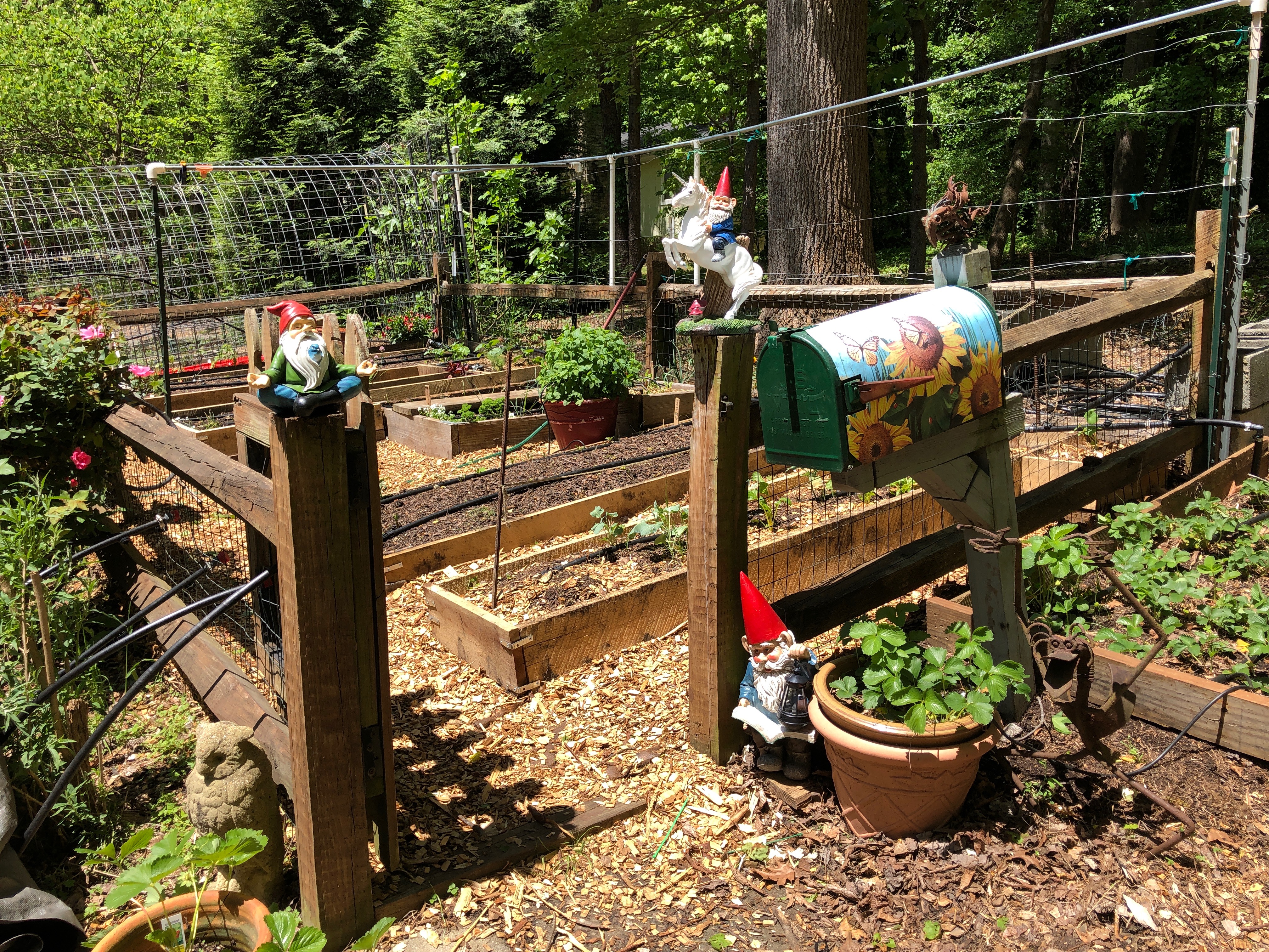 garden gnomes