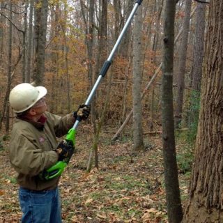 Cordless Pole Saw Tips and Favorites