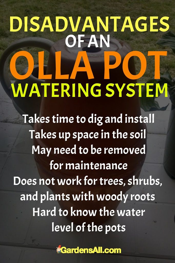 Does not work for trees, shrubs and plants with woody roots that can pierce and destroy the clay pot walls. #ClayPots #ClayPotsForPlants #Irrigation #IrrigationSystem #GardenIdeas #Gardening #Watering #HowToUse