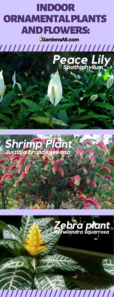 There's something spectacular about the colors and fragrances of fresh flowers. Creating a combination of flowers and ornamental plants creates interesting layers of textures and colors, indoors or out. #GardenPlanters #Planters #SpringGarden #Pallet #Vertical #Boxes #GardenIdeas