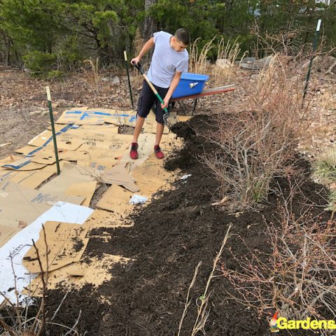 Natural Garden Weed Control that&rsquo;s Free