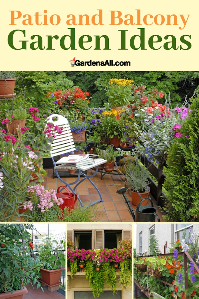 Growing Herbs, Flowers and Vegetables on Patio, Deck and Balcony Gardens Want to grow your own vegetables or flowers, but have no garden? Balcony, deck or patio gardening is perfect for those without space or ability for a yard garden.  #GardenTools #MustHave #Storage #Essential #Cleaning #Organization #ForBeginners #DIY #Repurposed #Best #Shed  #Ideas #Store #Caddy #Kit #Electric #House #Tips #Watering #Handmade #HowToUse #Projects  #gardensall #gardening #backyard #homesteading #farming
