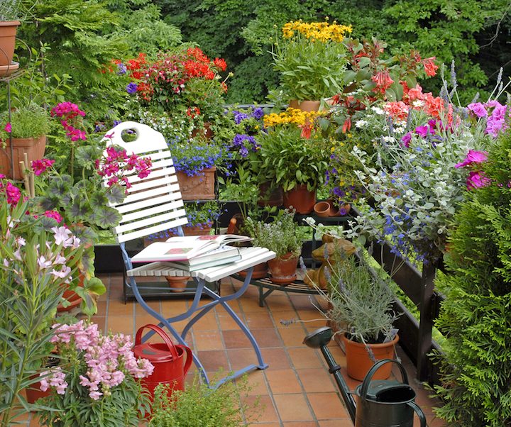 A patio dream garden. Garden sanctuary.