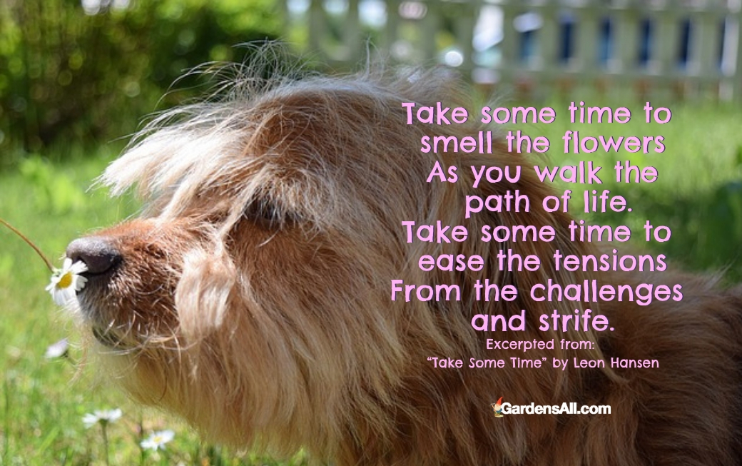 "Take some time to smell the flowers As you walk the path of life. Take some time to ease the tensions From the challenges and strife." ~Excerpted from "Take Some Time" by Leon Hansen #GardenPlanters #Planters #SpringGarden #Pallet #Vertical #Boxes #GardenIdeas