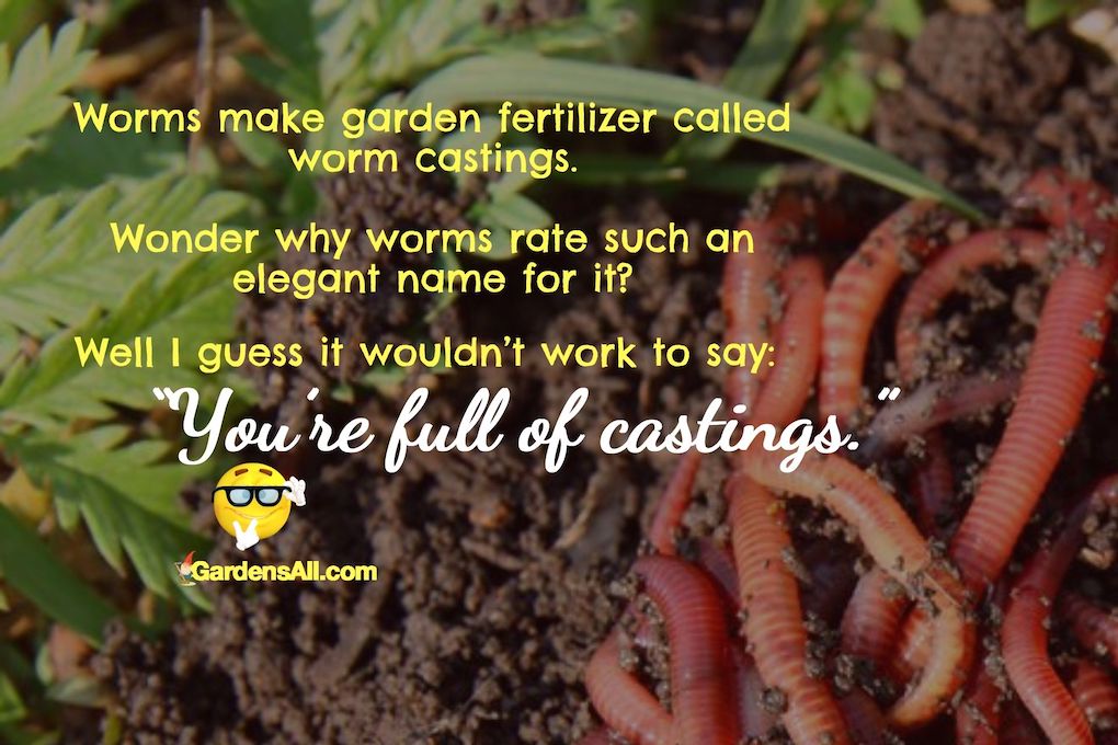 garden humor about worm castings