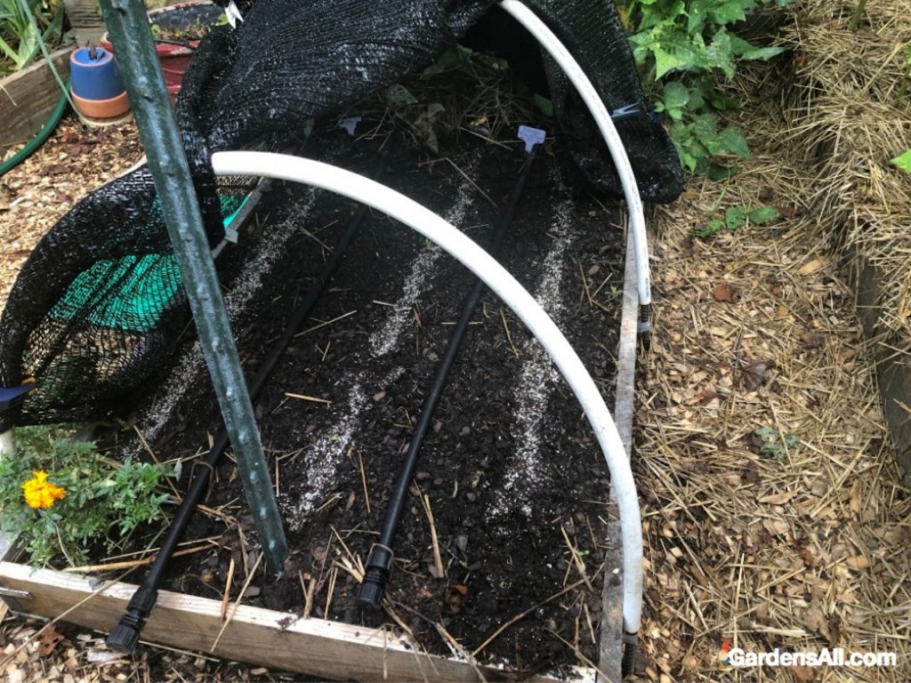 Shade Cloth Over PVC Pipe Creates a Shade Tunnel