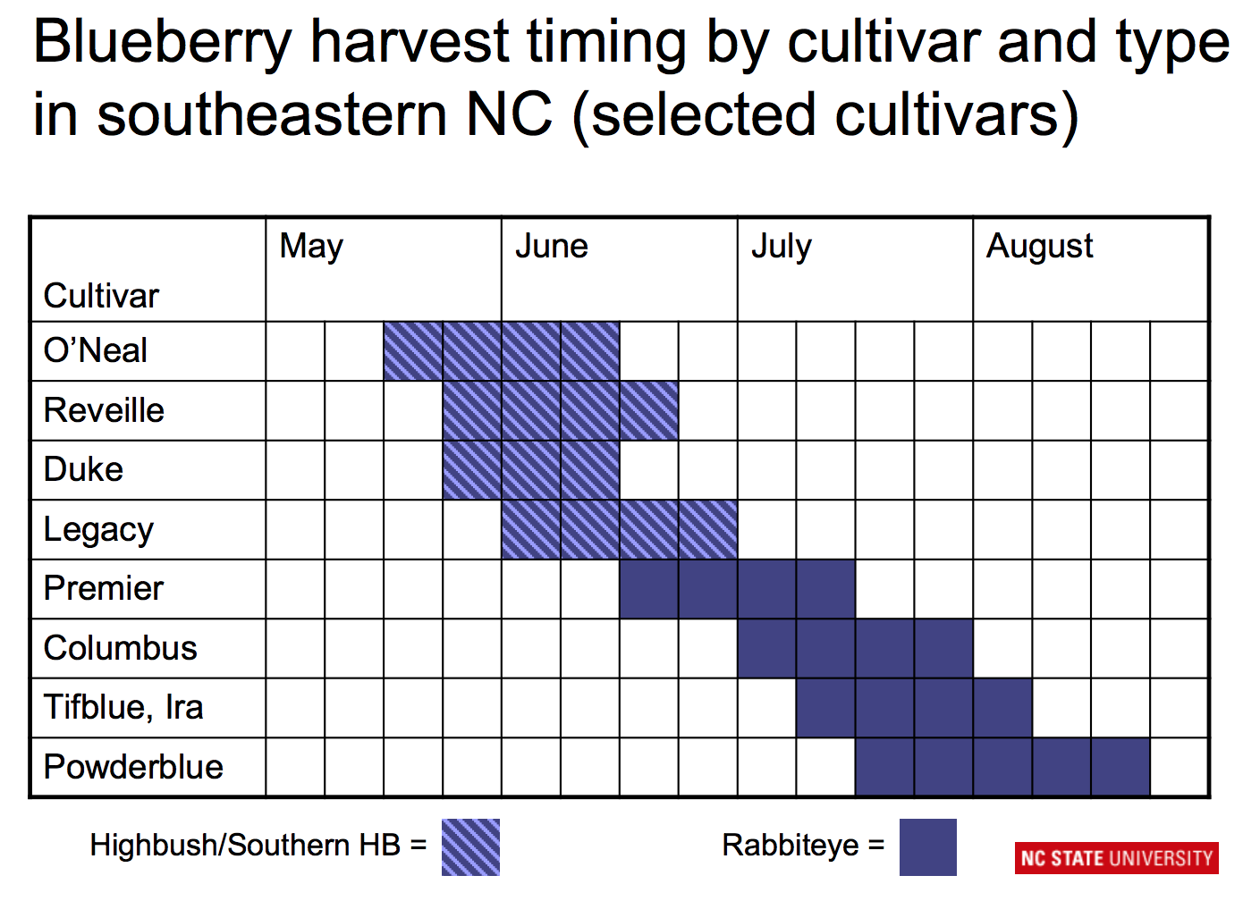 How to Grow Blueberries - Fertilizer, Soil pH, and Benefits - GardensAll