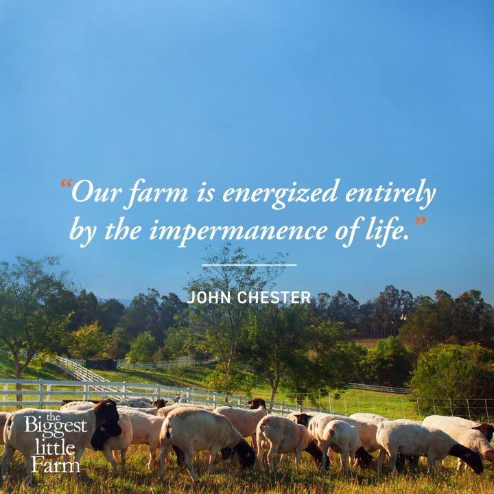 Permaculture Documentary on Biodynamic Farming and Gardening GardensAll