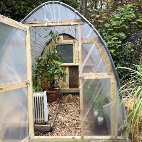 Cattle Panel Greenhouse for Short and Longterm Growing Year Round