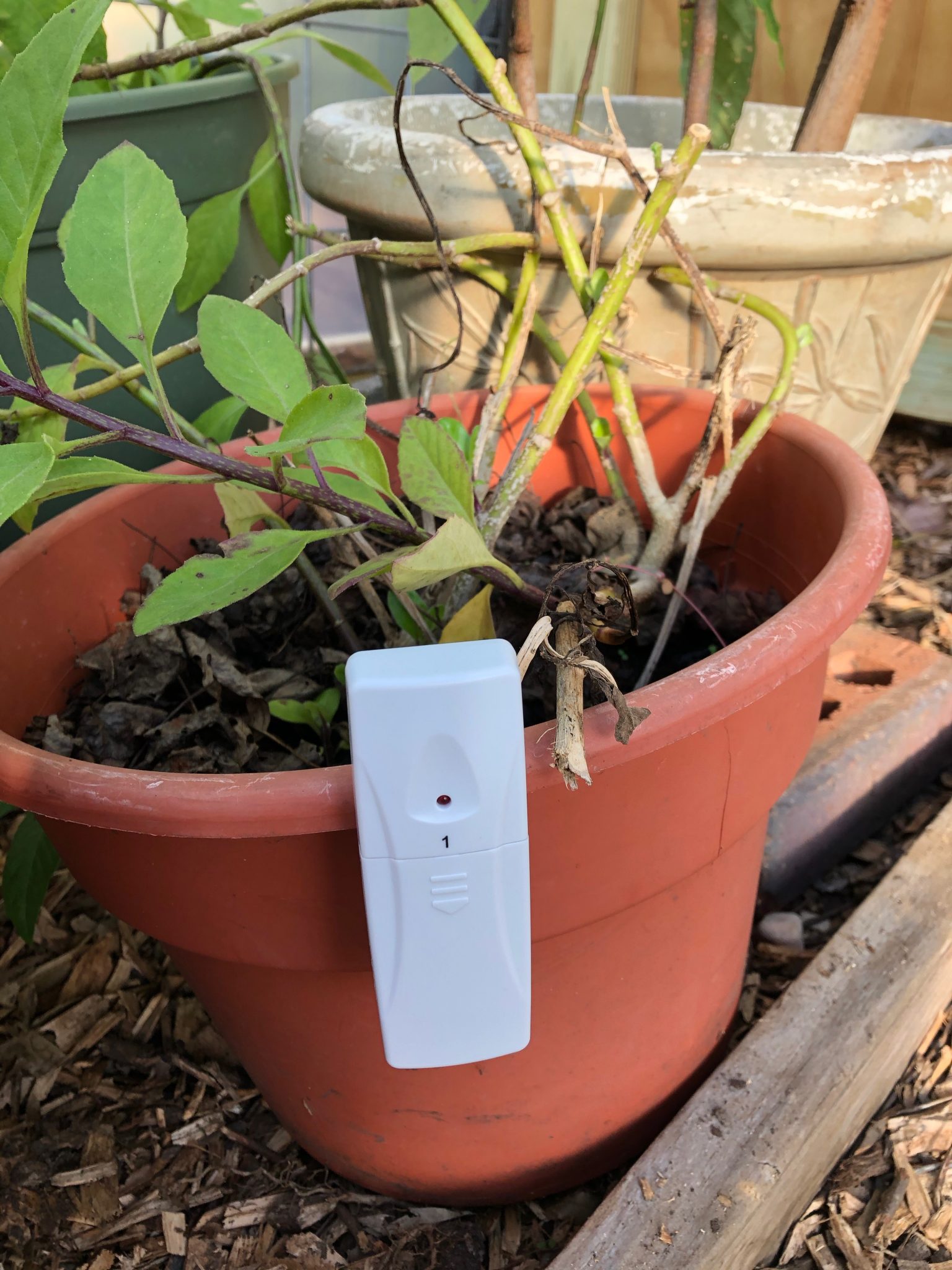 Wireless Greenhouse Thermometer GardensAll