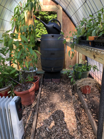 8 Ways Small Green Houses Can Drive You Bankrupt - Quick!