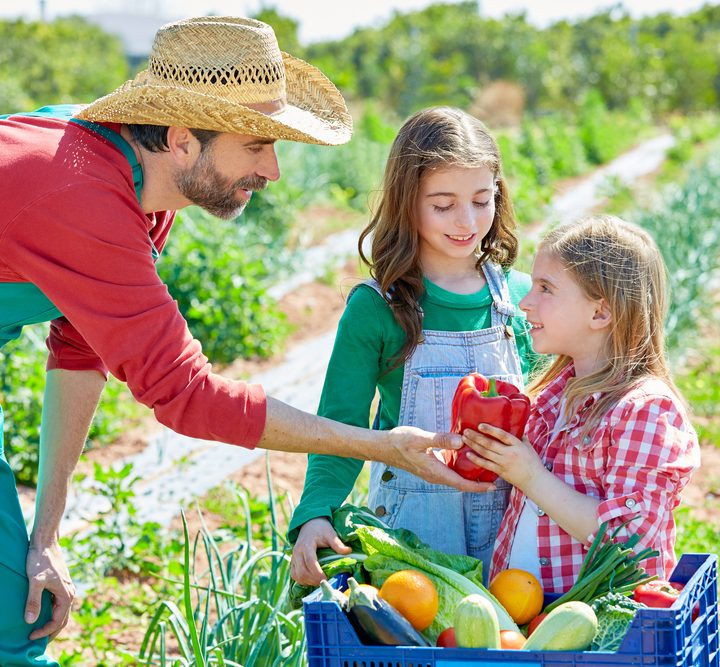 make money farming, family farm, homesteading
