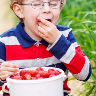 Farm to Table Locavore – Save Money While Supporting Local Farmers