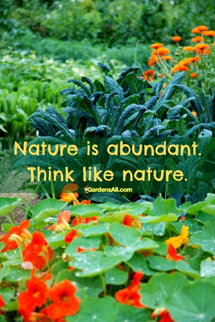 Nature Quote: Nature is abundant. think like nature.