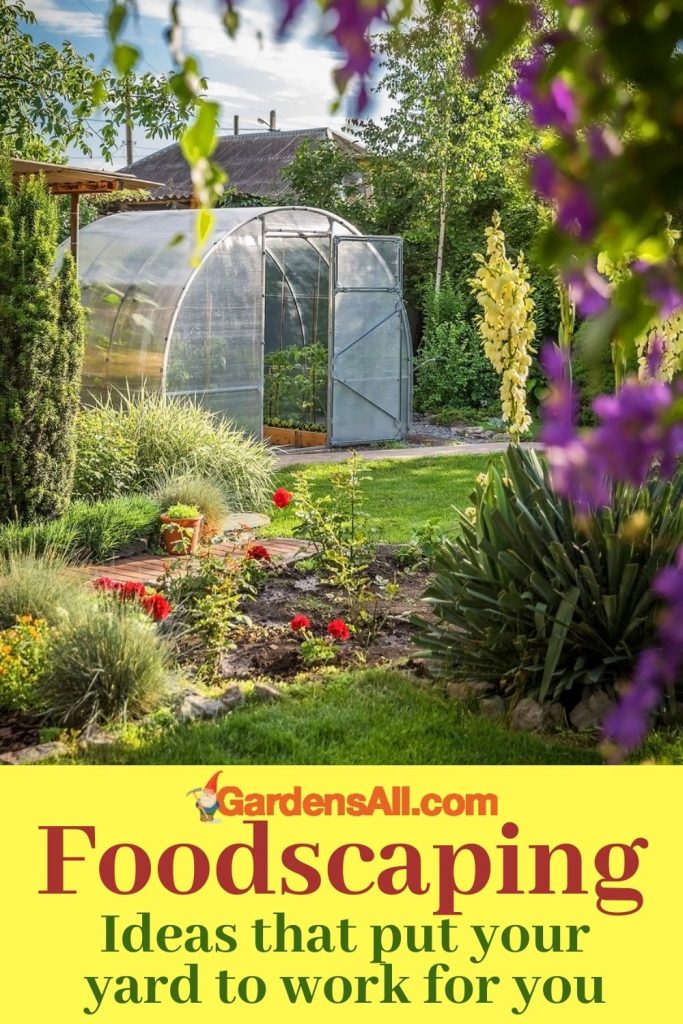 foodscaping ideas for creating an edible landscape in your yard-GardensAll.com
