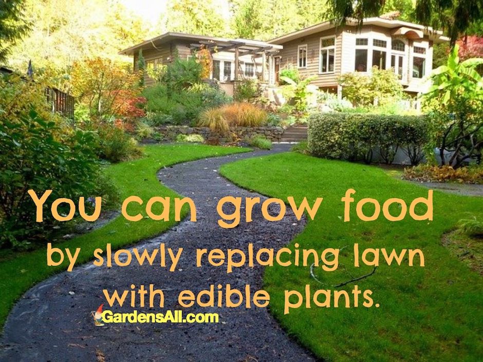 foodscaping ideas-grow food instead of lawns-replace lawns with ornamental vegetables-GardensAll.com