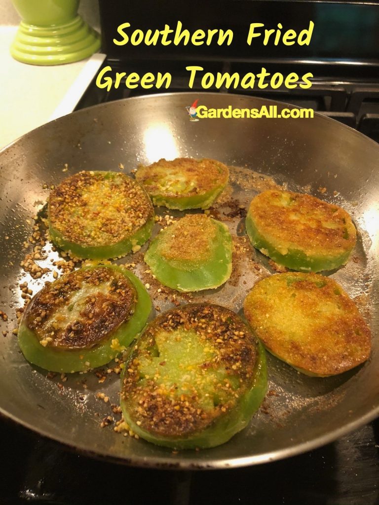 FriedGreenTomatoescookedinpan GardensAll