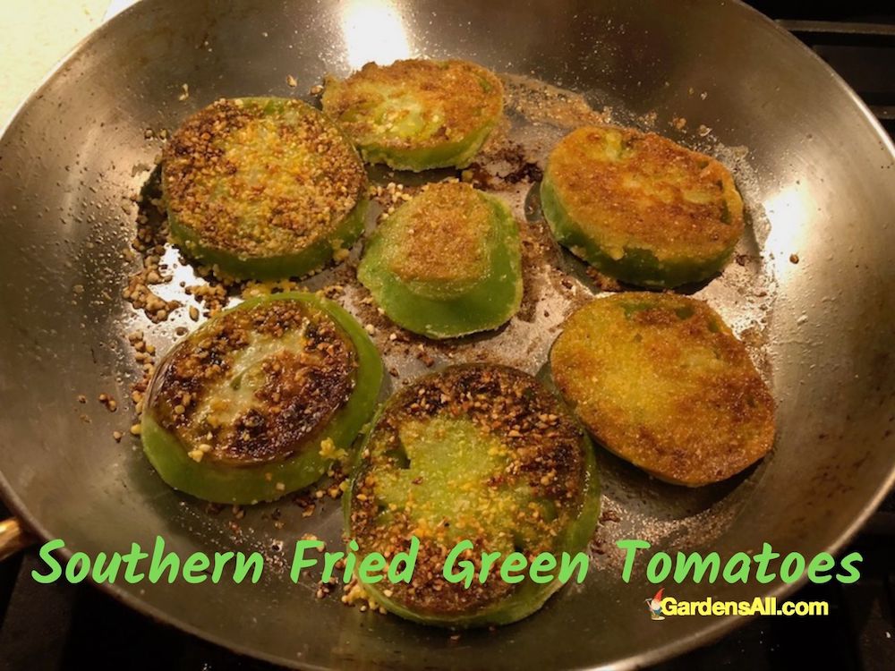 Southern Fried Green Tomatoes Recipe a Simple Summer Favorite