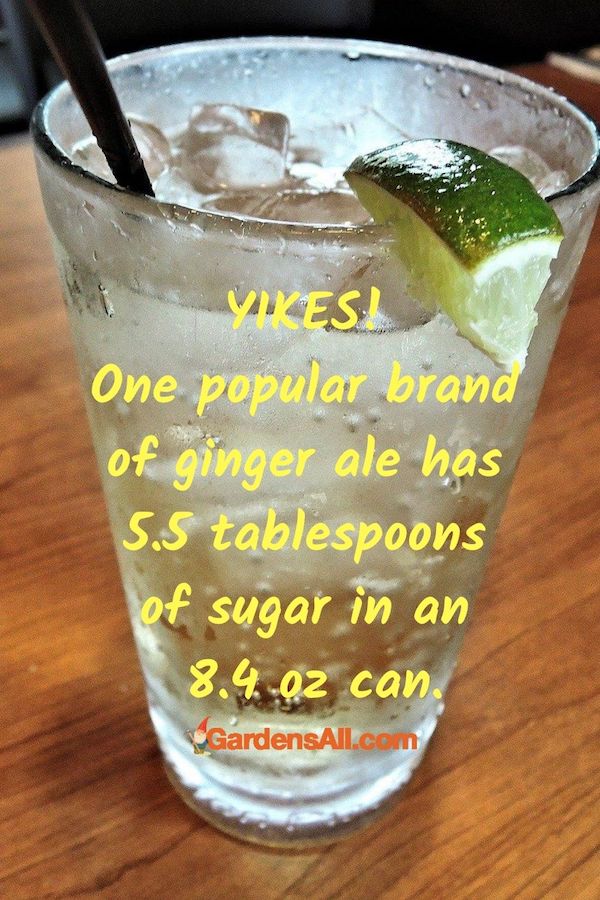 Popular Ginger Ale is HIGH IN SUGAR! Make homemade Ginger Ale for great taste and health benefits! #HomemadeGingerAle #LemonBalm #HealthyBeverages #GingerBenefits