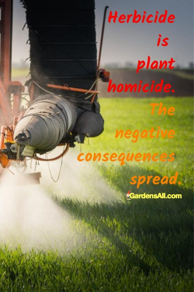 Herbicide sounds like it could be a good thing... Something made with herbs, right? NOT! Think of herbs and homicide. That's what herbicide is about... killing herbs (plants). #CompostingProblems #Herbicide #WhatIsHerbicide #IsHerbicideBad #OrganicGardening #Pesticides #CanCompostGoBad