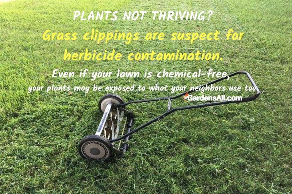 Grass clippings are suspect for herbicide contamination until proven innocent. Even if your lawn is chemical-free, your yard may be exposed to what your neighbors use. #CompostingProblems #Herbicide #GrassClipping #IsHerbicideBad #OrganicGardening #OrganicCompost #CanCompostGoBad