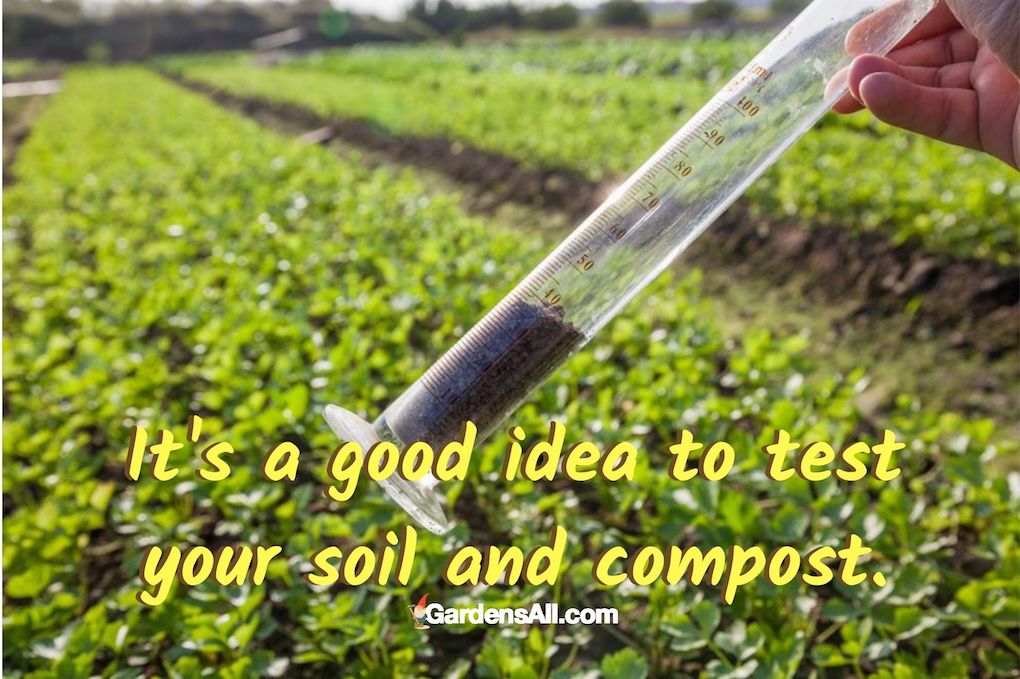 It's a good idea to test your soil and compost. #CompostingProblems #Herbicide #GrassClipping #IsHerbicideBad #OrganicGardening #OrganicCompost #CanCompostGoBad