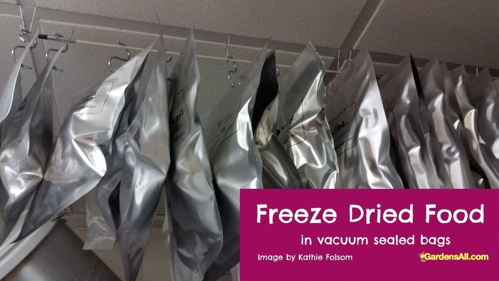 Freeze dried foods in hanging vacuum sealed storage bags