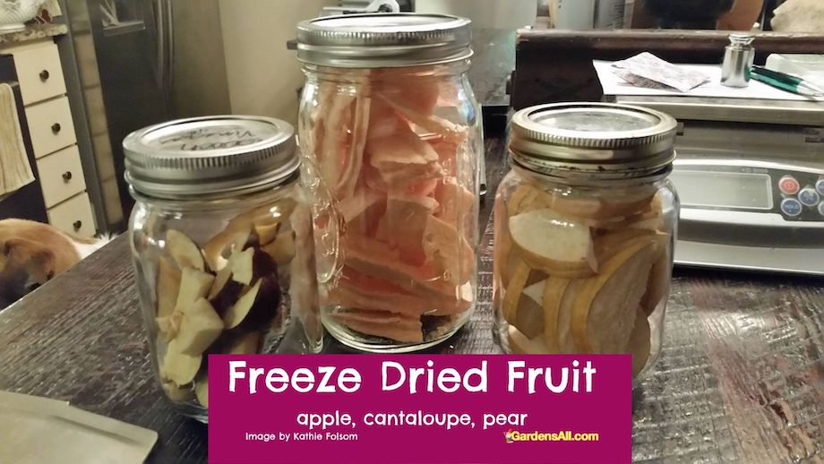 HOME FREEZE DRYERS are great for Freeze-drying fruit like apples-cantaloupe- and pears