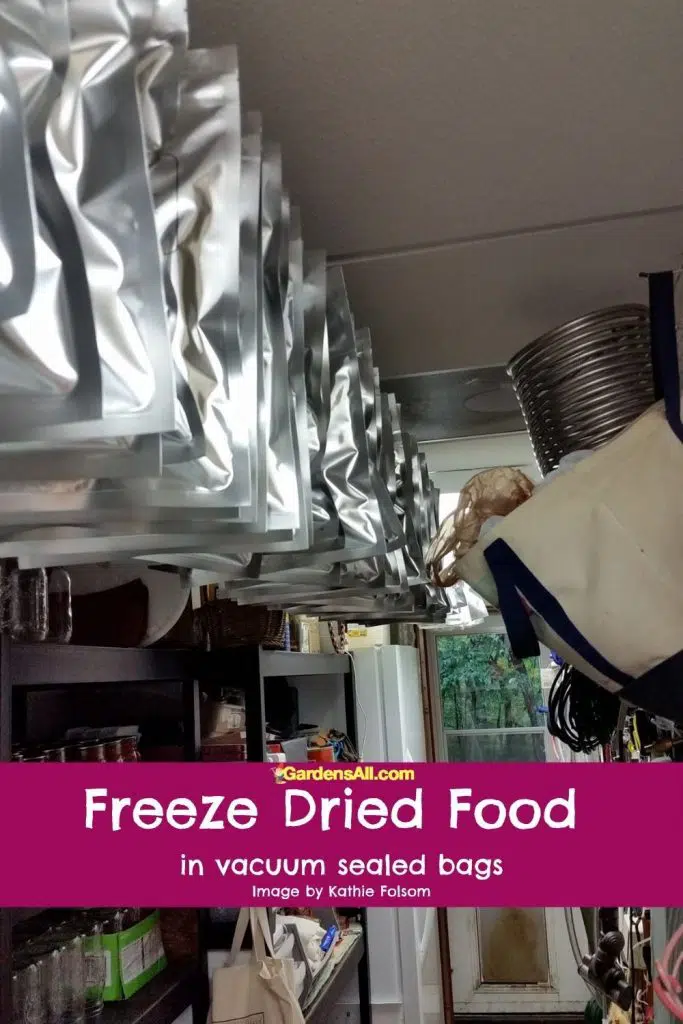 Freeze dried chicken noodle soup in bags