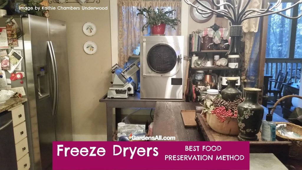 Freeze drying foods is the best food preservation method for retention of nutrients and for longevity.