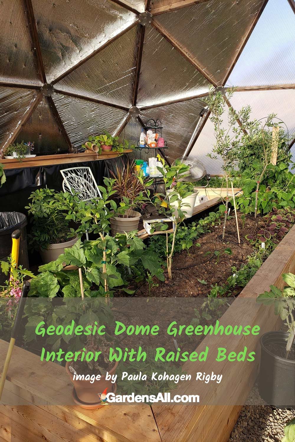 Geodesic Dome Greenhouse - interior with raised beds - Image by Paula Kohagen Rigby and Keith Rigby #GeodesicDomeGreenhouse #DomeGreenhouse #GeodesicDomes #GardensAll.com #Gardening #GardenIdeas 