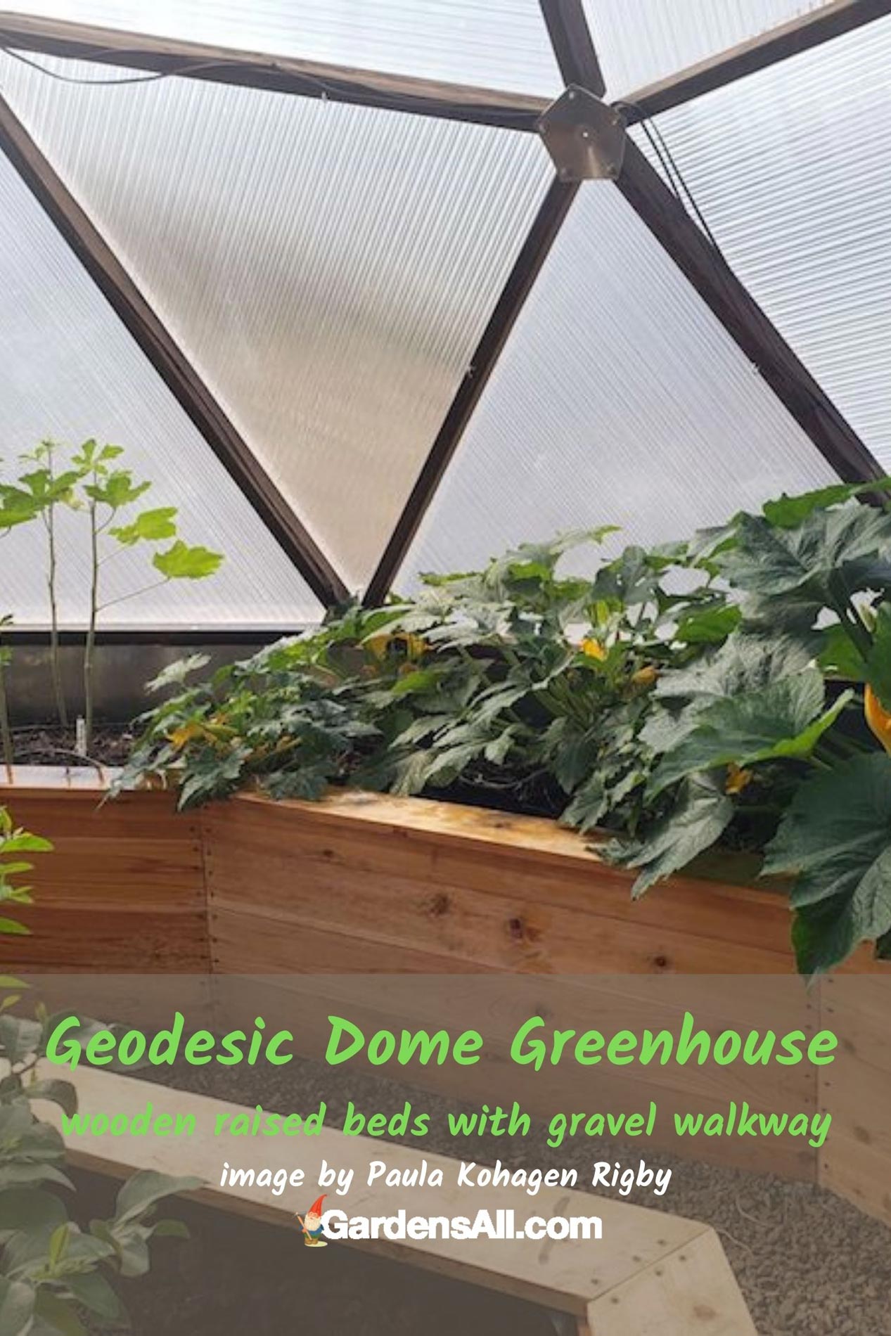 Geodesic Dome Greenhouse - wood raised beds with gravel walk way - image by Paula Kohagen Rigby #GeodesicDomeGreenhouse #DomeGreenhouse #GeodesicDomes #GardensAll.com #Gardening #GardenIdeas