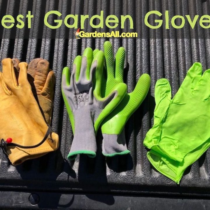 The Best Garden Gloves for Men, Women and Kids!