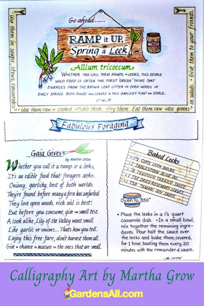 Ramps graphic, calligraphy art on growing ramps