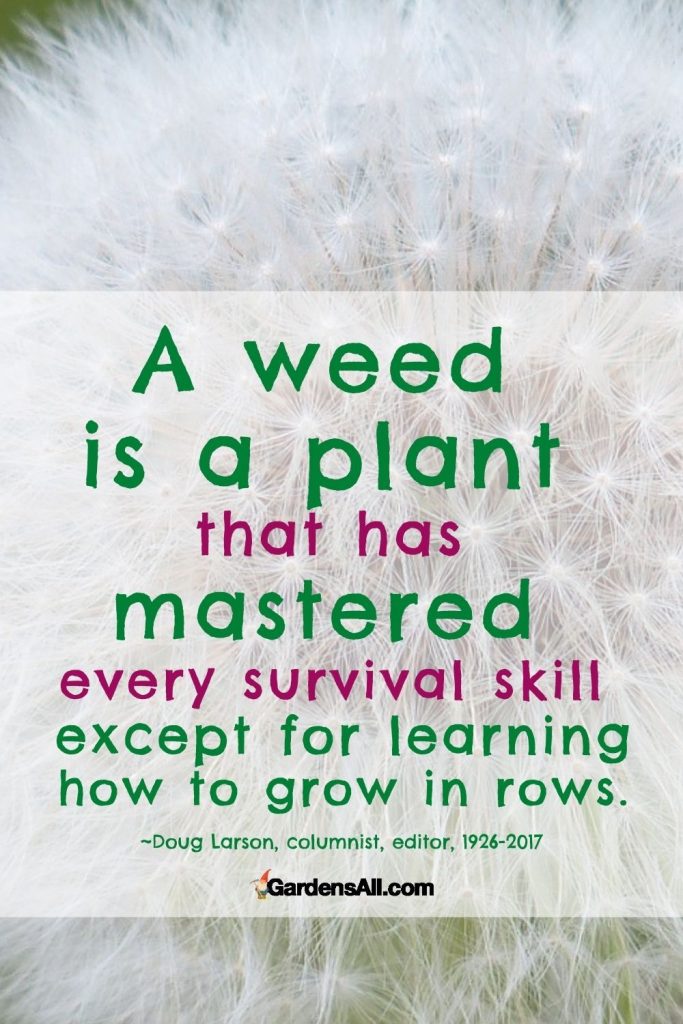 A weed is a plant that has mastered every survival skill.