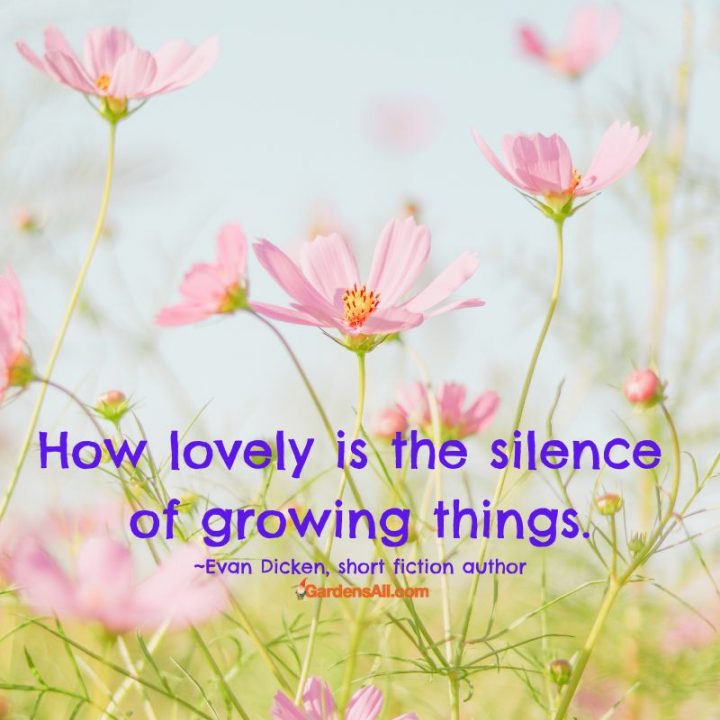 Garden quote: nature quote: The silence of growing things quote, square