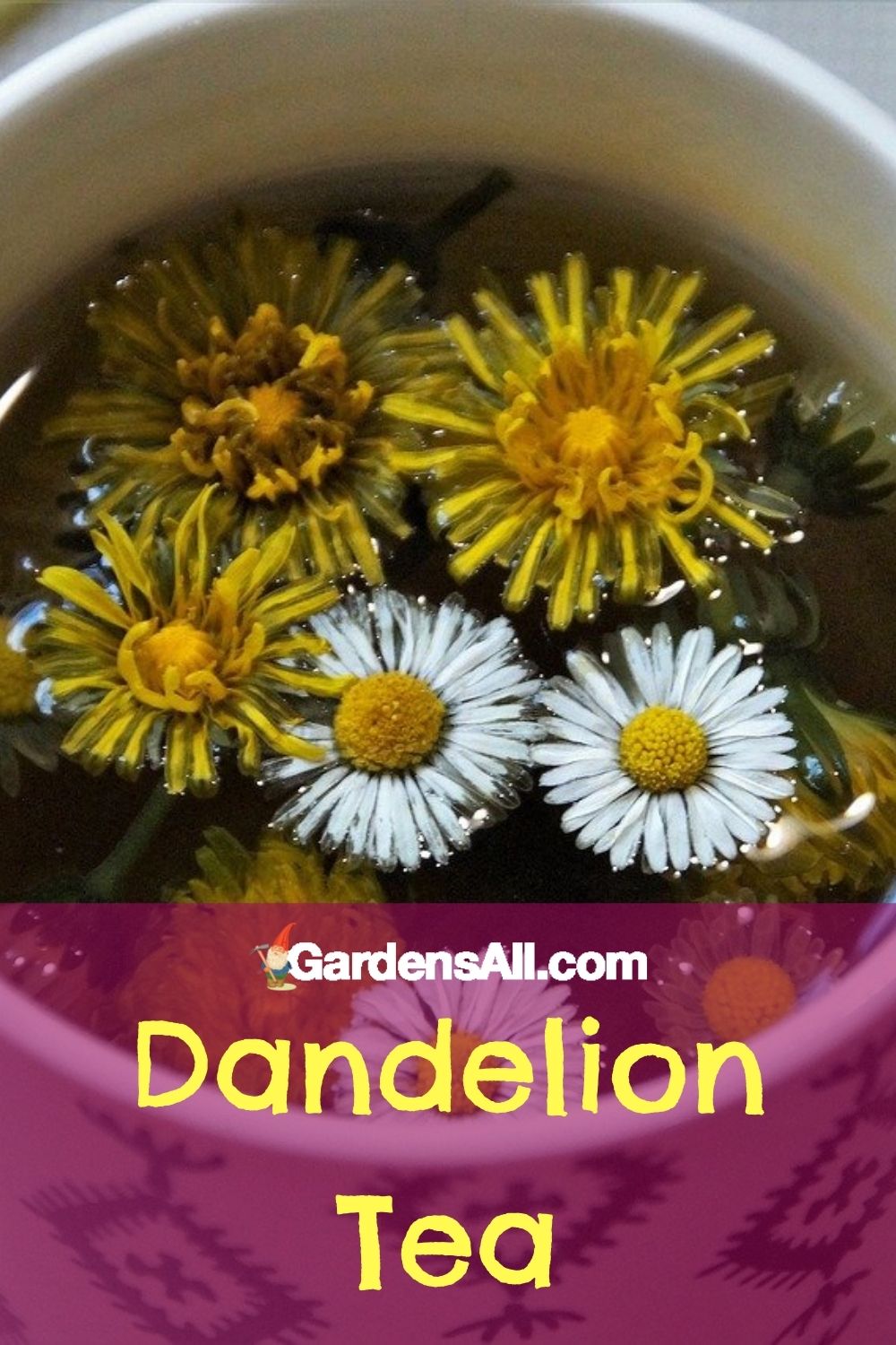 How To Make Dandelion Tea from Roots, Flowers and Leaves GardensAll