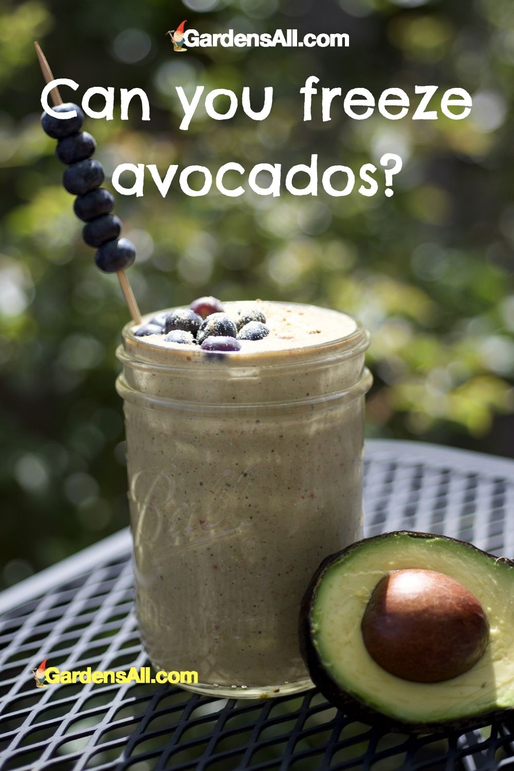 Can You Freeze Avocados and Still Have Them Taste Good? GardensAll