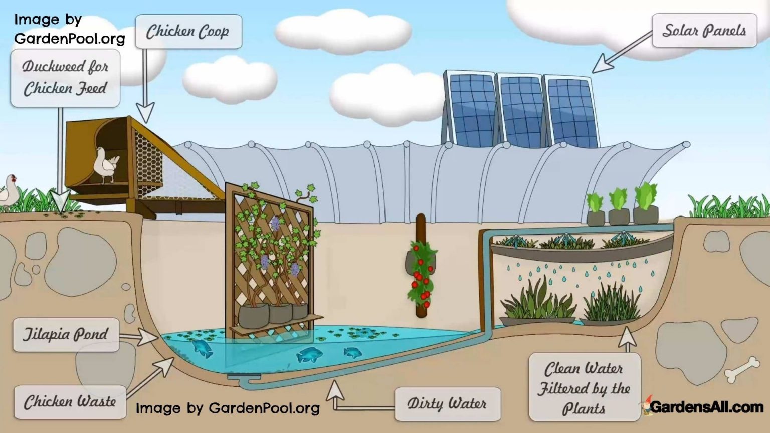 Turn That Old Swimming Pool into a Backyard Garden GardensAll