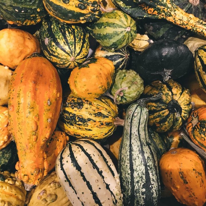 When To Plant Winter Squash Planning And Planting GardensAll When To Plant Winter Squash Planning And Planting GardensAll