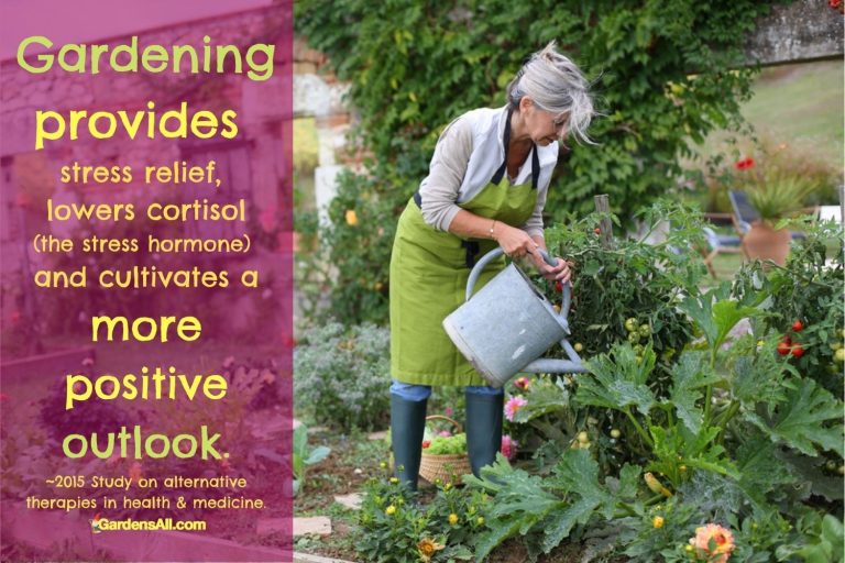 Garden Therapy Increases Well Being, Reduces Stress, Anxiety