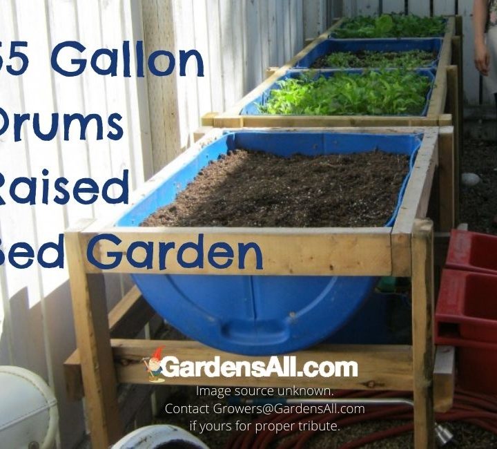 55 Gallon Drum Projects - Raised Garden Bed