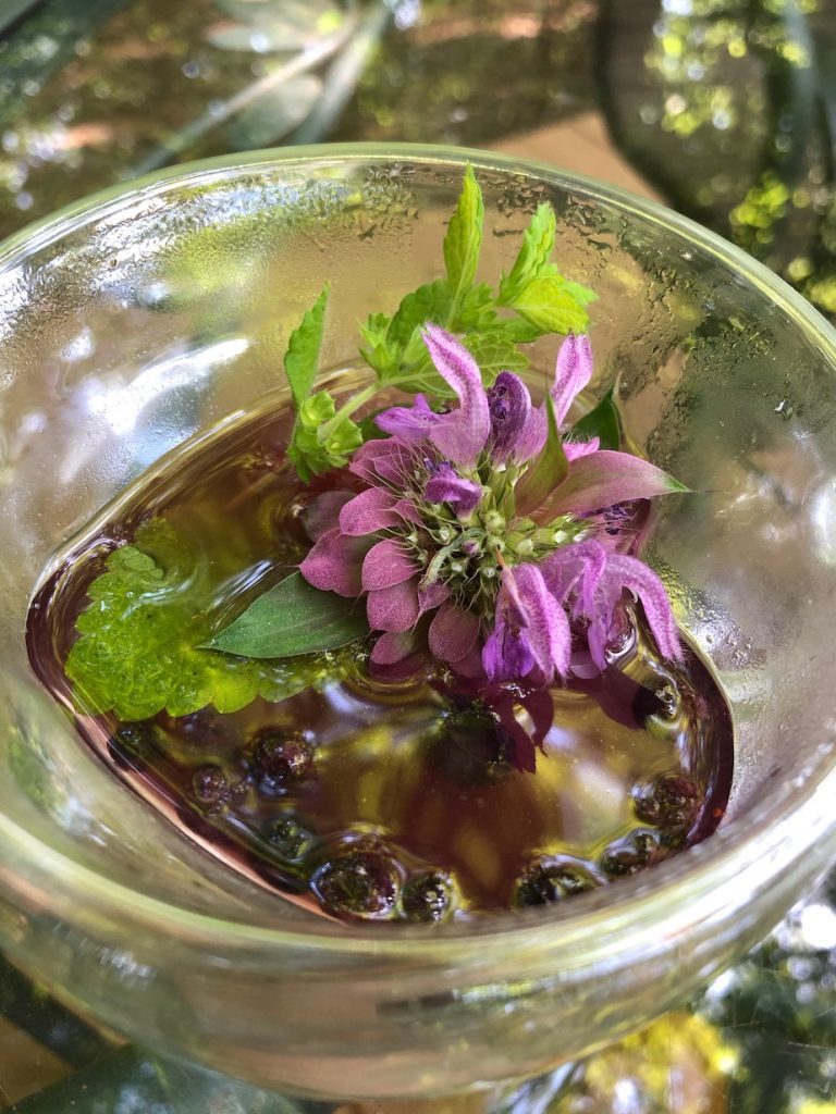 Lemon Bee Balm elderberry tea GardensAll
