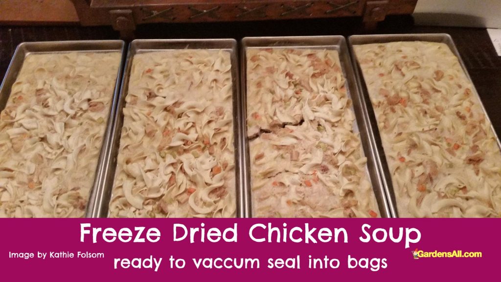 Freeze dried chicken noodle soup-Kathie Folsom