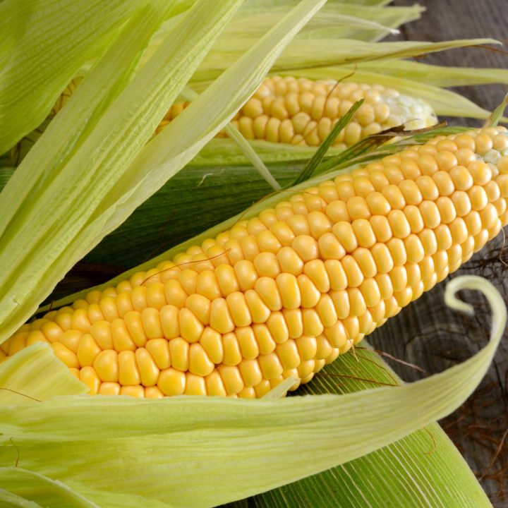 How to Freeze Fresh Corn on the Cob -There’s More Than One Way