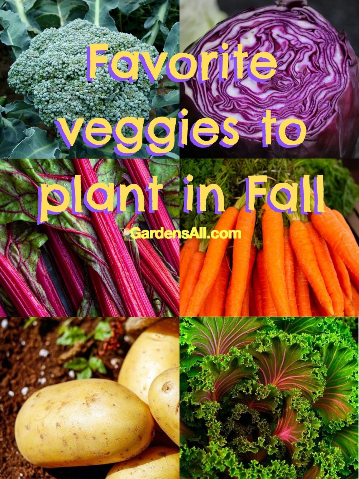 What Vegetables to Plant in Fall GardensAll GARDENING
