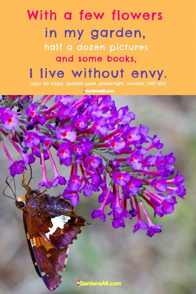 Flowers that bloom in fall-butterfly bush plus quote: "with a few flowers... I live without envy."