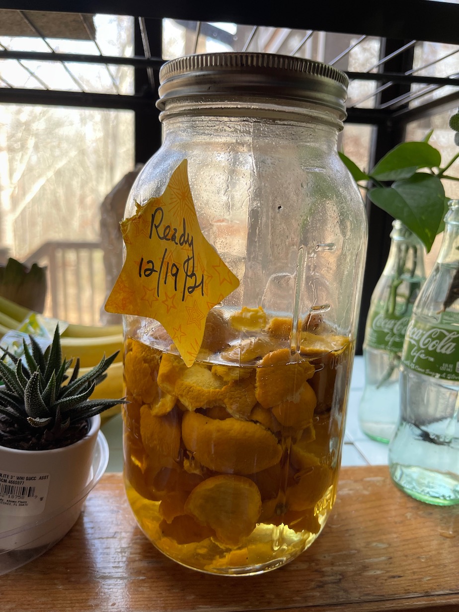 Easy DIY Citrus Vinegar Cleaner Inexpensive and Effective GardensAll