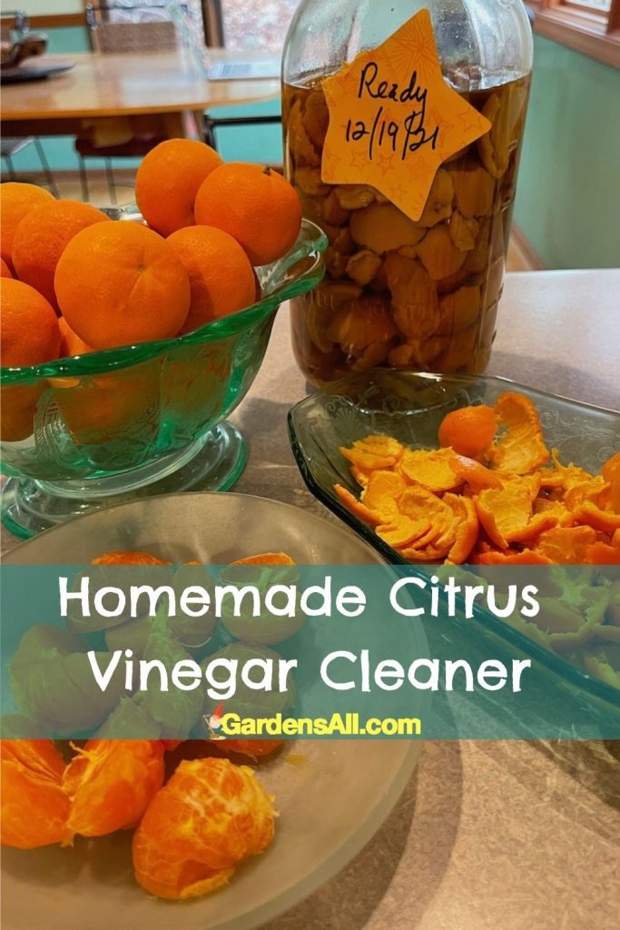 Homemade citrus vinegar cleaner; DIY citrus vinegar cleaner; DIY kitchen cleaner;