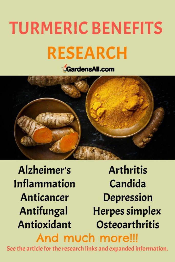 Turmeric Golden Paste Benefits and Recipe to Make Your Own GardensAll